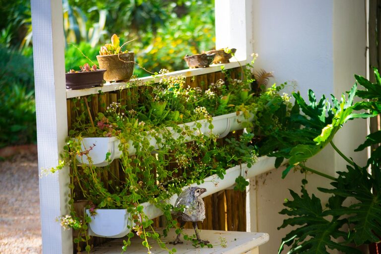 Tips for Creating a Sustainable Garden in Your Backyard